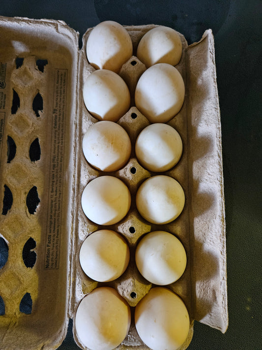 Carton of Blue Swedish duck eggs $10