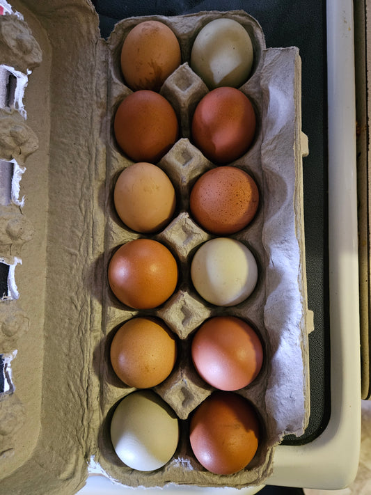 $2.50 Farm Fresh Eggs